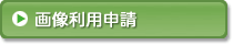 画像利用申請PDF
