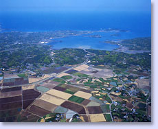 原の辻遺跡 上空撮影