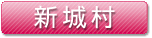 新城村