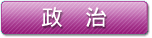 政治