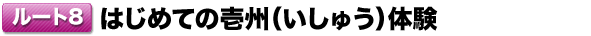 [g8 ͂߂Ă̈B(イ)̌