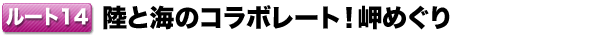 [g14 ƊC̃R{[g!߂