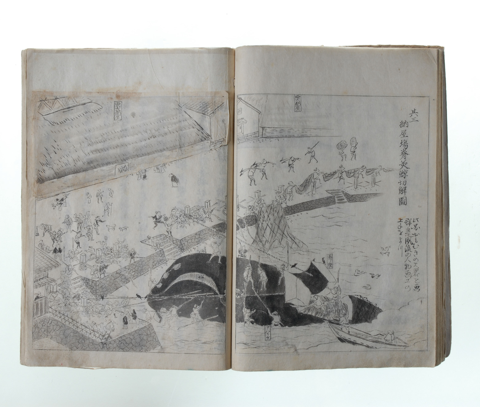 y~[WAVbvTOPICz񂱂JXeŊ`{i܂j`iʔN̔j