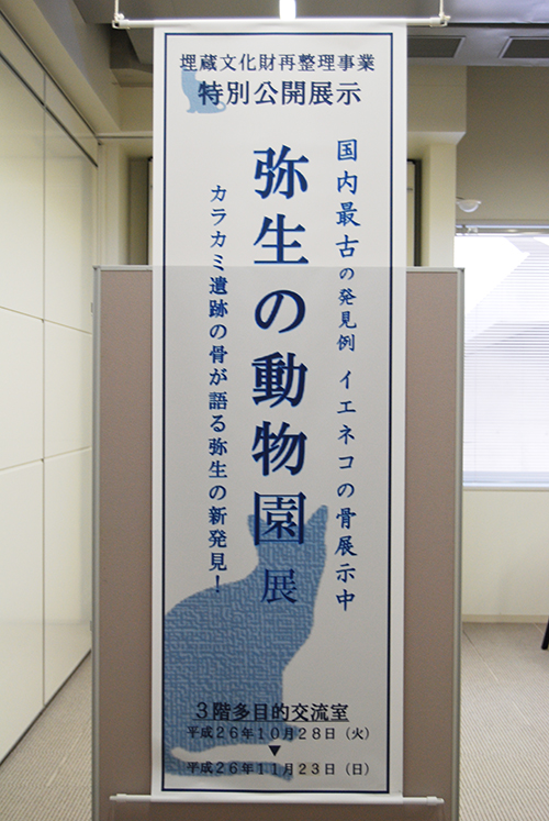 yʌJWz퐶̓W