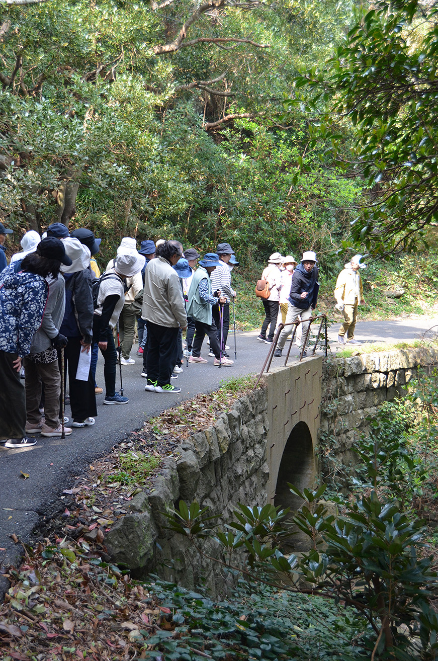 �s��x�������يJ��16���N�L�O�t��򓇏t�̂���炩���j�T�K�o�X�c�A�[�u���̐푈�j�Ղ��߂���v