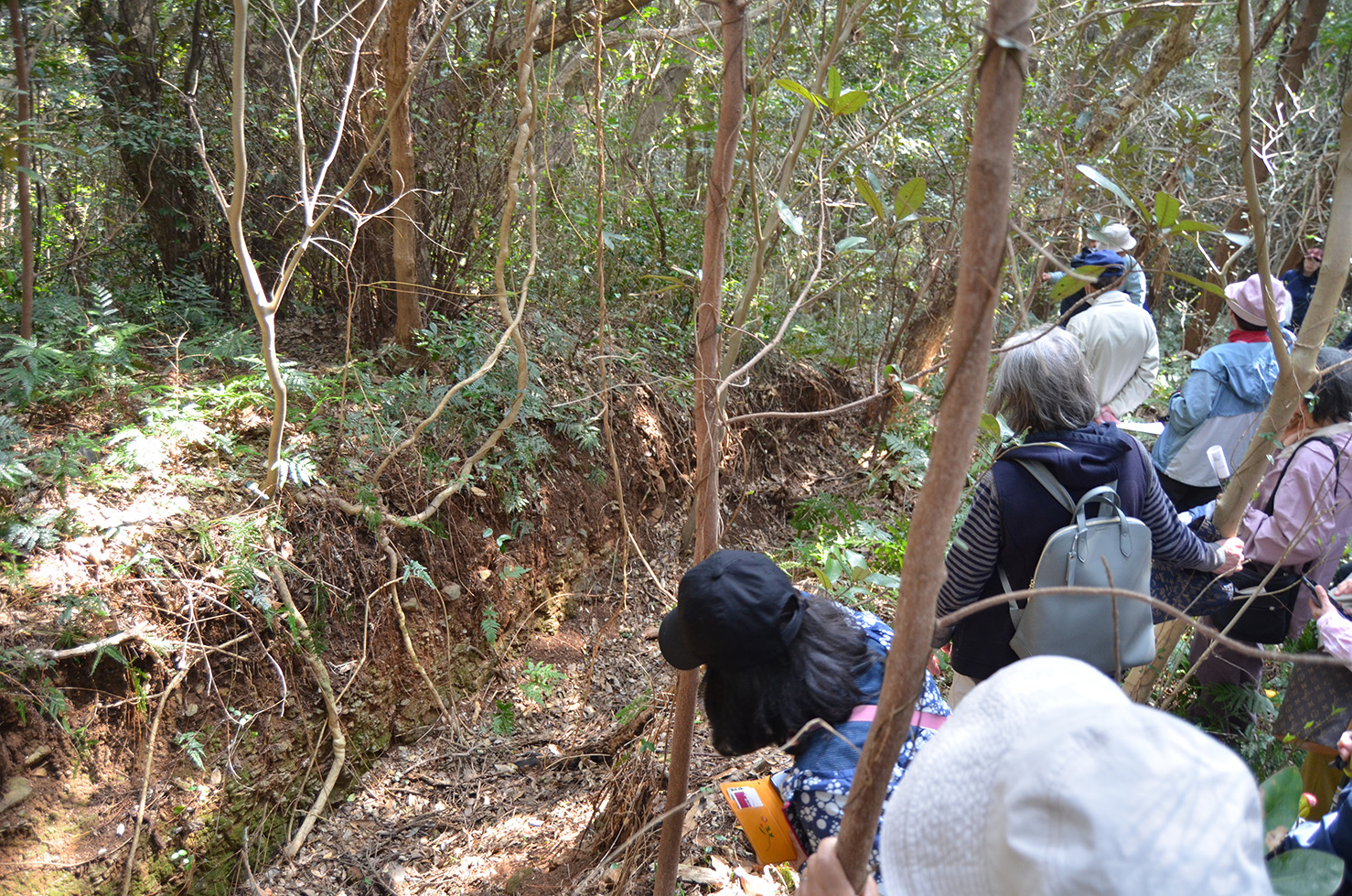 �s��x�������يJ��16���N�L�O�t��򓇏t�̂���炩���j�T�K�o�X�c�A�[�u���̐푈�j�Ղ��߂���v