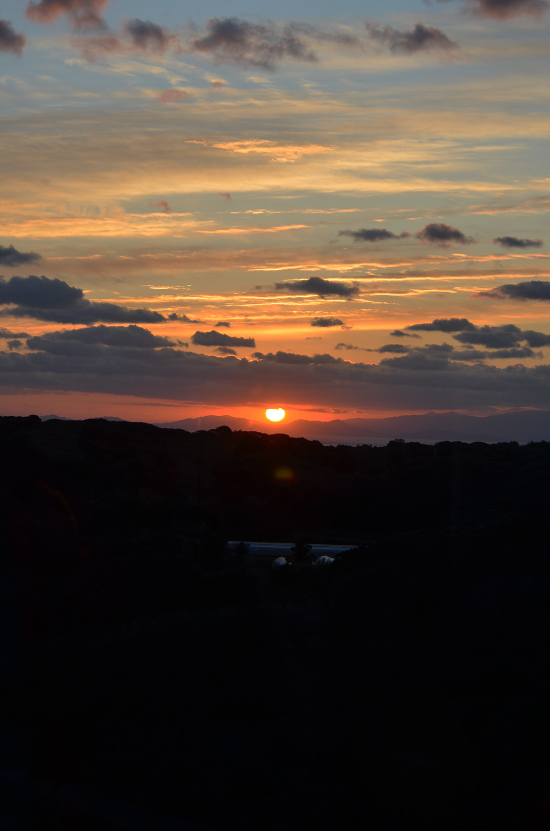 �y�N�n�C�x���g�J�Ã��|�[�g�z�����̏o�ϖ]��2026