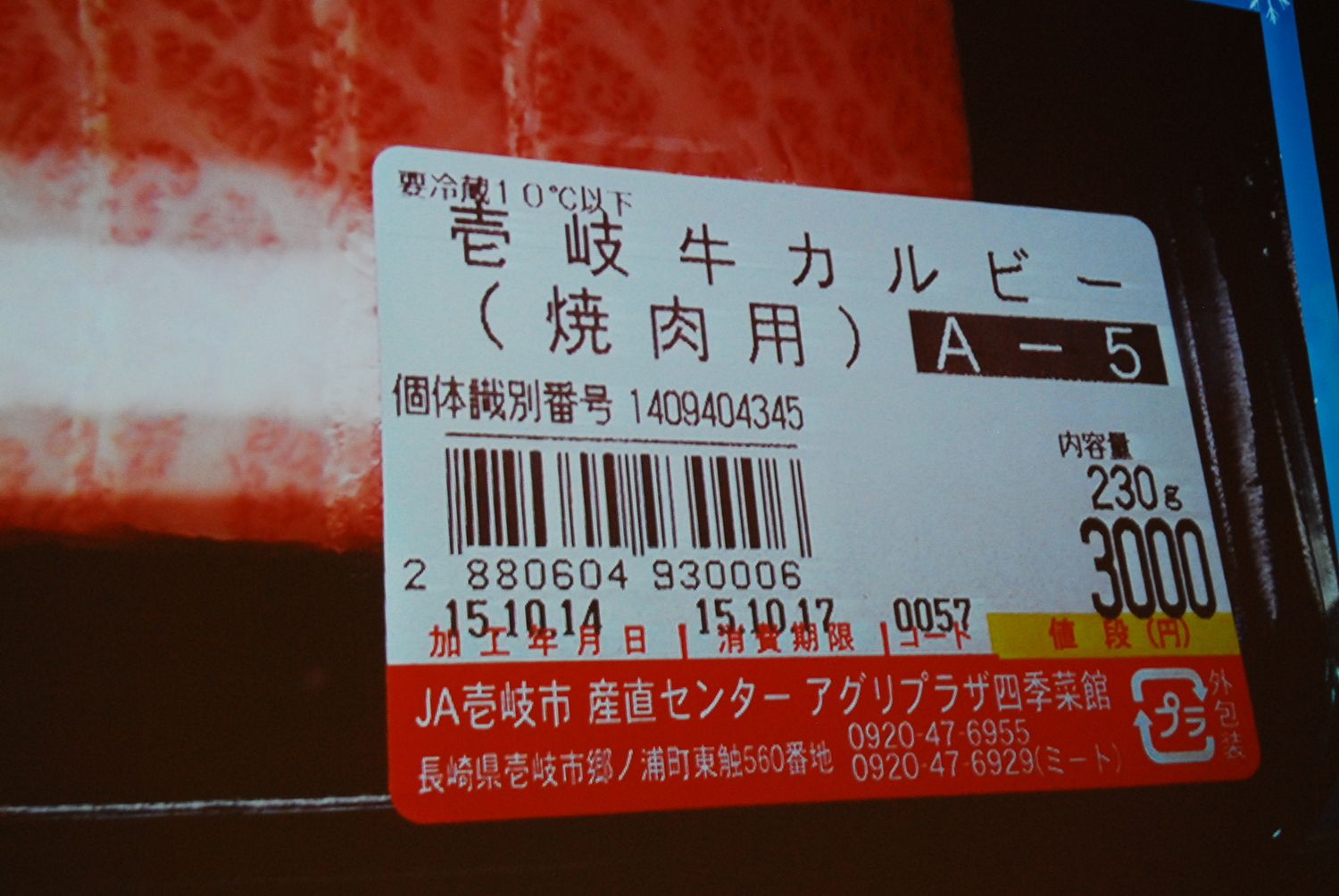 wu|[gw򋍂̃[cK˂!!x